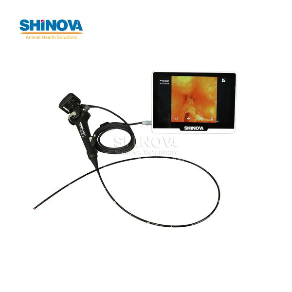 Мобильный Ветеринарный Видеоэндоскоп с 10-Дюймовым Сенсорным Монитором